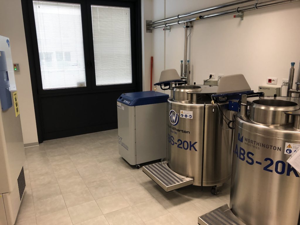 criogenia Rigenerand